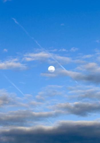 Img 7555