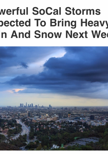 Toddstorm